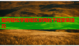 如何轻松掌握暗区禁网的下载安装技巧