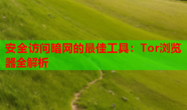 安全访问暗网的最佳工具：Tor浏览器全解析