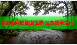 探索暗网的秘密世界 免费登录指南