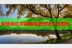 解除暗区禁网限制的独特方法揭秘