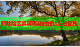 解除暗区禁网限制的独特方法揭秘