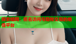 探索暗网：匿名访问与隐秘交易的绝佳平台