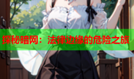 探秘暗网：法律边缘的危险之旅
