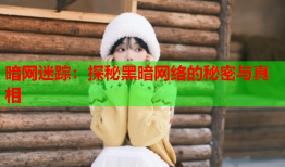 暗网迷踪：探秘黑暗网络的秘密与真相