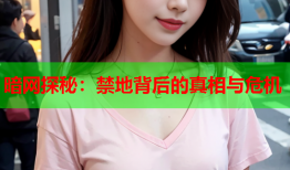 暗网探秘：禁地背后的真相与危机