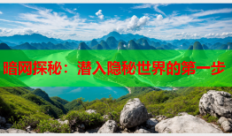 暗网探秘：潜入隐秘世界的第一步