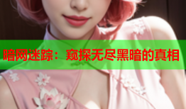 暗网迷踪：窥探无尽黑暗的真相