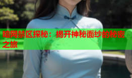 暗网禁区探秘：揭开神秘面纱的秘密之旅