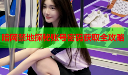 暗网禁地探秘账号密码获取全攻略
