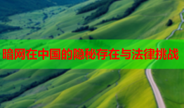 暗网在中国的隐秘存在与法律挑战