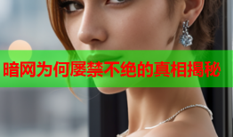 暗网为何屡禁不绝的真相揭秘