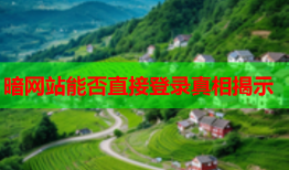 暗网站能否直接登录真相揭示