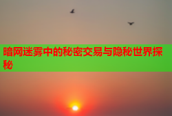 暗网迷雾中的秘密交易与隐秘世界探秘