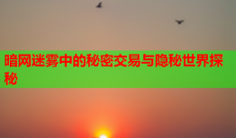 暗网迷雾中的秘密交易与隐秘世界探秘