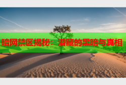 暗网禁区揭秘：潜藏的黑暗与真相