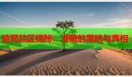 暗网禁区揭秘：潜藏的黑暗与真相