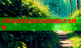 手机如何安全快速访问暗网的方法揭秘