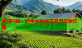 暗网探秘：新手必看全攻略与安全指南