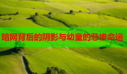 暗网背后的阴影与幼童的悲惨命运