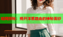 暗网探秘：揭开洋葱路由的神秘面纱
