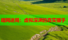 暗网迷局：虚拟深渊的真实猎手