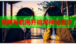 蝴蝶导航揭开暗网神秘面纱