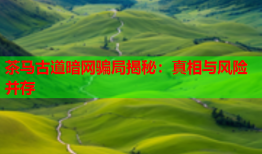 茶马古道暗网骗局揭秘：真相与风险并存
