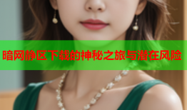 暗网静区下载的神秘之旅与潜在风险