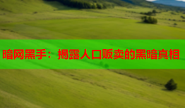 暗网黑手：揭露人口贩卖的黑暗真相