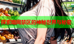 探索暗网禁区的神秘世界与秘密