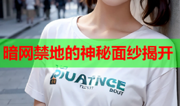 暗网禁地的神秘面纱揭开