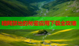 暗网禁地的秘密应用下载全攻略