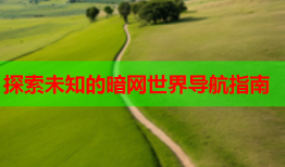 探索未知的暗网世界导航指南