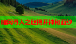 暗网寻人之谜揭开神秘面纱