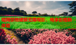 暗网禁地破解无限观影，畅享影视新体验