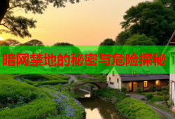 暗网禁地的秘密与危险探秘