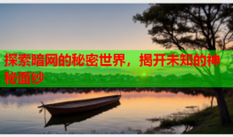 探索暗网的秘密世界，揭开未知的神秘面纱