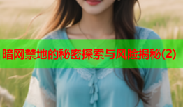 暗网禁地的秘密探索与风险揭秘(2)
