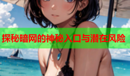 探秘暗网的神秘入口与潜在风险
