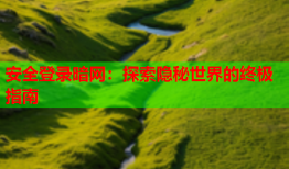 安全登录暗网：探索隐秘世界的终极指南