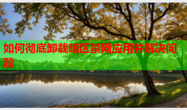 如何彻底卸载暗区禁网应用并解决问题