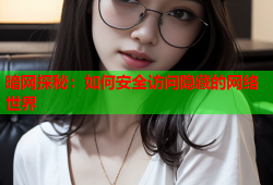 暗网探秘：如何安全访问隐藏的网络世界
