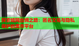 探索暗网丝绸之路：匿名交易与隐私保护的黑市平台