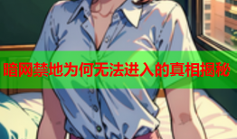 暗网禁地为何无法进入的真相揭秘