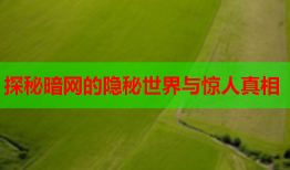 探秘暗网的隐秘世界与惊人真相