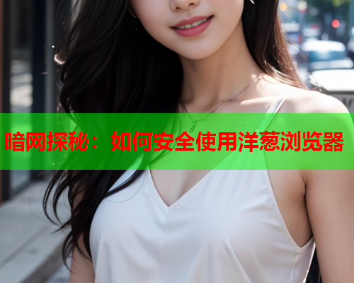 暗网探秘：如何安全使用洋葱浏览器