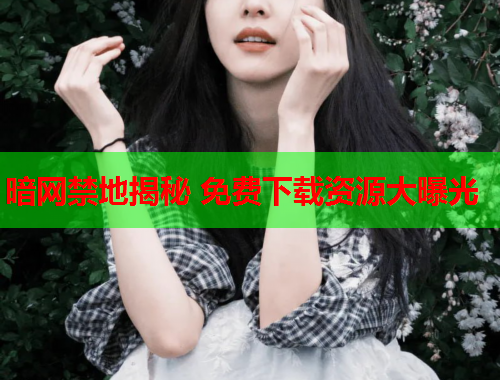 暗网禁地揭秘 免费下载资源大曝光