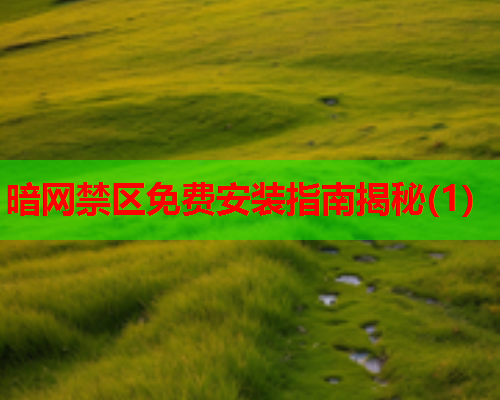 暗网禁区免费安装指南揭秘(1)