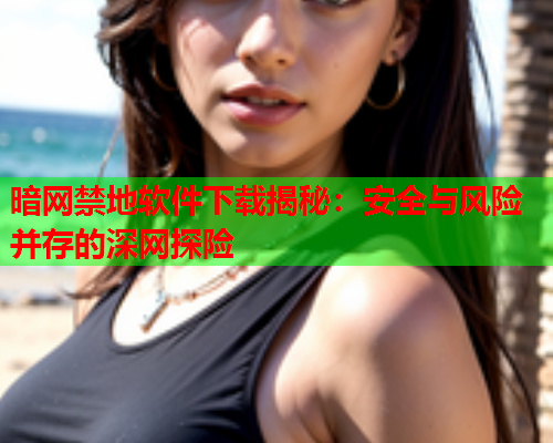 暗网禁地软件下载揭秘：安全与风险并存的深网探险