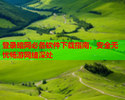 登录暗网必备软件下载指南，安全无忧畅游网络深处